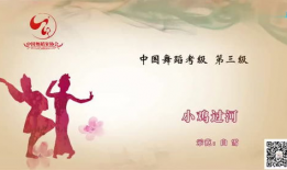 七级考级舞蹈全部视频,七级考级舞蹈视频精华集锦